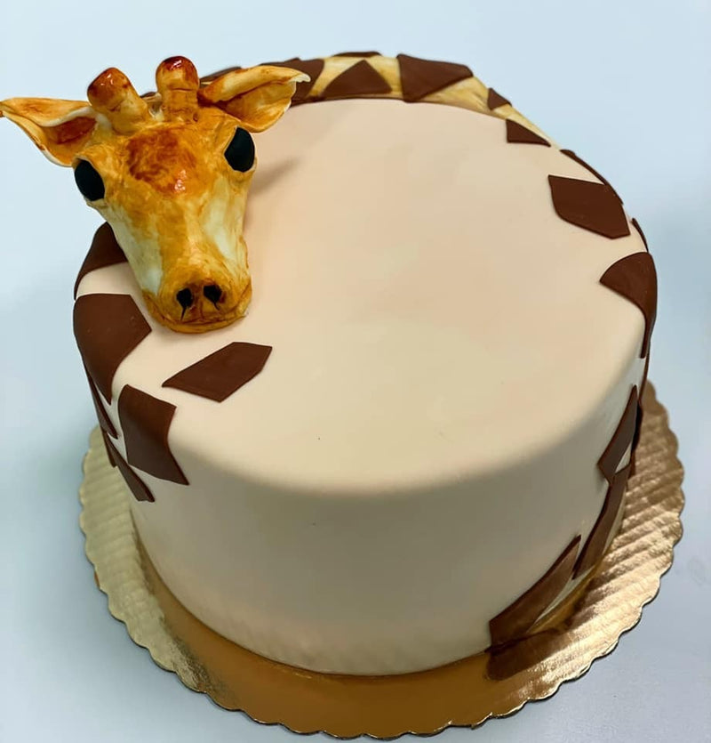 Gallery: Birthdays