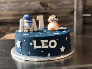 Star Wars- Leo
