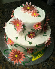 Pink Daisies