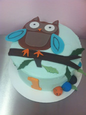 Owl