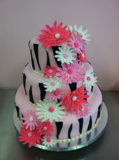 Pink Zebra and Daisies
