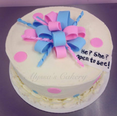 Reveal-Pink and Blue Bow