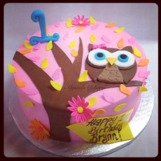 Owl 1st Birthday