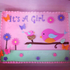 Little Birdies Its a Girl