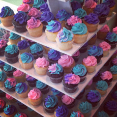 Pink Purple and Aqua