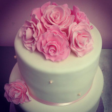 Pink Roses