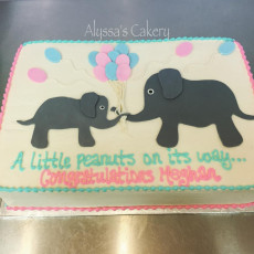 Mommy and Baby Elephant