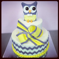 Owl Babyshower