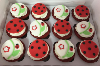 Lady Bugs!