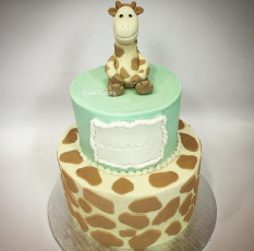 Giraffe Baby Shower