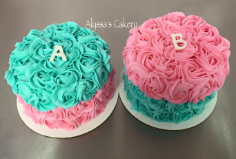 Twins Gender Reveal