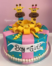 Giraffe Gender Reveal