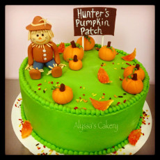 Pumpkin Patch