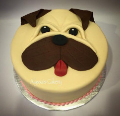 Dog Head!