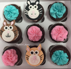 Kitty Cats!