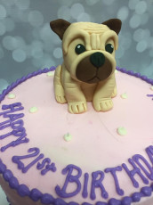 Pug!