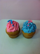 Reveal Cupcakes Pink and Blue