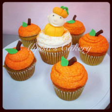Little Pumpkin Patch