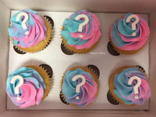 Gender Reveal!