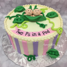 Twin Gender Reveal!