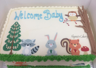 Baby Shower
