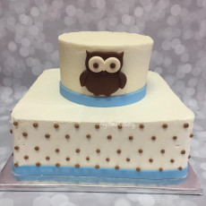 Owl Baby Shower