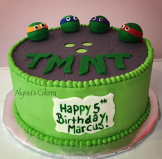 TMNT
