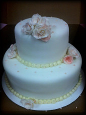 White and Pink Roses