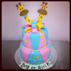 Reveal Cake-Boy/Girl Giraffe