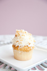 Coconut Cloud
