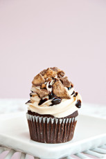 Peanut Butter Cup