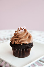 Chocolate Squared
