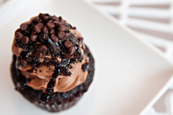 Mississippi Mud