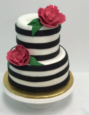 Black & White Stripes