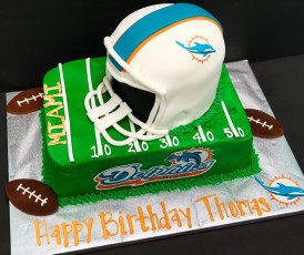 Miami Dolphins Helmet + Field
