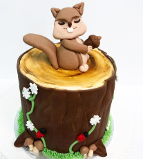 Squirrel