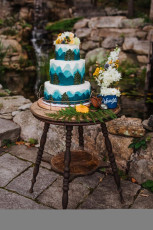 Mountain Wedding