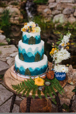 Mountain Wedding