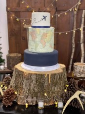 Travel Cake